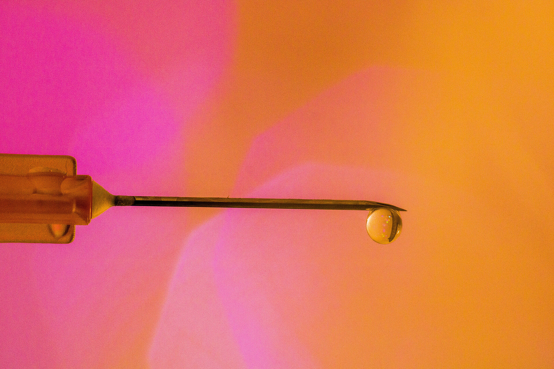 Blogfoto
